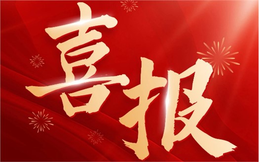 集團(tuán)榮膺2025中國民營企業(yè)500強(qiáng)第249位，制造業(yè)民營企業(yè)500強(qiáng)第177位，排名較去年雙雙大幅提升