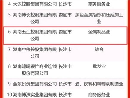 集團(tuán)榮獲2025“三湘民企百強(qiáng)榜”第6名